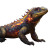 Flame Lizard Vinyl Car Decal Sticker – Waterproof & UV-Resistant 8"