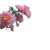 Pink Vaporwave Flower Vinyl Car Decal Sticker – Waterproof & UV-Resistant 8"