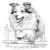 Sheltie Jumping Hurdle Vinyl Car Decal Sticker – Waterproof & UV-Resistant 8"