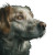 Dog V27 Vinyl Car Decal Sticker – Waterproof & UV-Resistant 8"