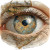 Eyeball Map Vinyl Car Decal Sticker – Waterproof & UV-Resistant 8"
