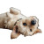 Playful Dog V2 Vinyl Car Decal Sticker – Waterproof & UV-Resistant 8"