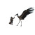 Marabou Stork Fight Vinyl Car Decal Sticker – Waterproof & UV-Resistant 8"