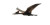 Primitive Pterodactyl Vinyl Car Decal Sticker – Waterproof & UV-Resistant 8"