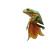 Tree Frog Hanging Vinyl Car Decal Sticker – Waterproof & UV-Resistant 8"