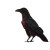 Crow With Rose Vinyl Car Decal Sticker – Waterproof & UV-Resistant 8"