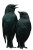Fearful Blackbirds Vinyl Car Decal Sticker – Waterproof & UV-Resistant 8"