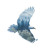 Soaring Eagle Silhouette V2 Vinyl Car Decal Sticker – Waterproof & UV-Resistant 8"