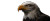 Bald Eagle Flag Vinyl Car Decal Sticker – Waterproof & UV-Resistant 8"