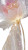 Golden Seed Bloom V2 Vinyl Car Decal Sticker – Waterproof & UV-Resistant 8"
