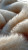 White Sheep Fur Vinyl Car Decal Sticker – Waterproof & UV-Resistant 8"