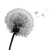 Dandelion Seeds Drifting V2 Vinyl Car Decal Sticker – Waterproof & UV-Resistant 8"