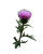 Vibrant Wildflower Bloom Vinyl Car Decal Sticker – Waterproof & UV-Resistant 8"