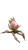 Giant Crabapple Bud Vinyl Car Decal Sticker – Waterproof & UV-Resistant 8"