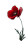 Red Poppy Bloom Vinyl Car Decal Sticker – Waterproof & UV-Resistant 8"