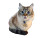 Cute Cat V27 Vinyl Car Decal Sticker – Waterproof & UV-Resistant 8"