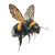 In-Flight Bumblebee Vinyl Car Decal Sticker – Waterproof & UV-Resistant 8"