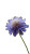 Scabious Flowers Field Vinyl Car Decal Sticker – Waterproof & UV-Resistant 8"