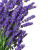 Lavender Field Vinyl Car Decal Sticker – Waterproof & UV-Resistant 8"