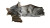 Fluffy Grey Cat Vinyl Car Decal Sticker – Waterproof & UV-Resistant 8"