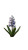 Hyacinth Flower Vinyl Car Decal Sticker – Waterproof & UV-Resistant 8"