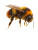 Yellow Bumblebee Vinyl Car Decal Sticker – Waterproof & UV-Resistant 8"