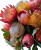 Protea Bouquet Vinyl Car Decal Sticker – Waterproof & UV-Resistant 8"