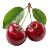 Cherry With Leaves Vinyl Car Decal Sticker – Waterproof & UV-Resistant 8"