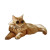 Ginger Cat Sunglasses Vinyl Car Decal Sticker – Waterproof & UV-Resistant 8"