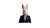 Rabbit News Anchor Vinyl Car Decal Sticker – Waterproof & UV-Resistant 8"