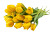 Yellow Tulips Vinyl Car Decal Sticker – Waterproof & UV-Resistant 8"