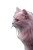 Pink Cat V2 Vinyl Car Decal Sticker – Waterproof & UV-Resistant 8"