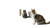Cats After Rain Vinyl Car Decal Sticker – Waterproof & UV-Resistant 8"