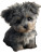 Cute Puppy Portrait V9 Vinyl Car Decal Sticker – Waterproof & UV-Resistant 8"