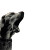 Bohemian Lapa Dog Vinyl Car Decal Sticker – Waterproof & UV-Resistant 8"