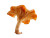 Young Chanterelle Mushroom Vinyl Car Decal Sticker – Waterproof & UV-Resistant 8"