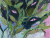Green Plants With Eyes Vinyl Car Decal Sticker – Waterproof & UV-Resistant 8"
