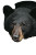 Bear In Trashcan Vinyl Car Decal Sticker – Waterproof & UV-Resistant 8"