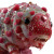 Candyland Creature V2 Vinyl Car Decal Sticker – Waterproof & UV-Resistant 8"