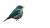 Mountain Bluebird Perched V2 Vinyl Car Decal Sticker – Waterproof & UV-Resistant 8"