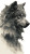 Horse Wolf Fusion Vinyl Car Decal Sticker – Waterproof & UV-Resistant 8"