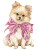 Cute Pomeranian Clipart V2 Vinyl Car Decal Sticker – Waterproof & UV-Resistant 8"