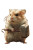 Hamster Thor Vinyl Car Decal Sticker – Waterproof & UV-Resistant 8"