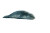 Leopard Seal Resting Vinyl Car Decal Sticker – Waterproof & UV-Resistant 8"