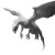 Spectral Dragon Vinyl Car Decal Sticker – Waterproof & UV-Resistant 8"