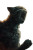 Michael Bay'S Cats Vinyl Car Decal Sticker – Waterproof & UV-Resistant 8"