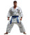 Karate Fighter V4 Vinyl Car Decal Sticker – Waterproof & UV-Resistant 8"