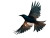 Flying Bird Outline Vinyl Car Decal Sticker – Waterproof & UV-Resistant 8"