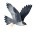 Soaring Bird Illustration Vinyl Car Decal Sticker – Waterproof & UV-Resistant 8"