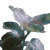 Cosmic Leafs Vinyl Car Decal Sticker – Waterproof & UV-Resistant 8"